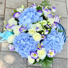 Aranjament landou baietel K4